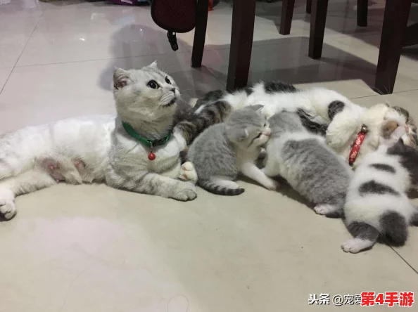 怪物猎人系列：探索最受欢迎的猫咪伙伴色彩，哪一款颜色最能俘获你的心？