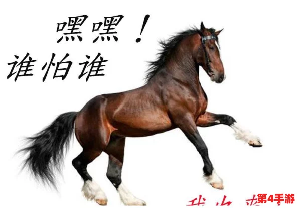 这就是江湖：精准辨识马匹秘籍，相马高手必备的正确选项指南