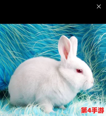 老公说看我大白兔,甜蜜互动引发网友热议:夫妻间的小趣味如何增进感情? 老公说看我大白兔,甜蜜互动引发网友热议:夫妻间的小趣味如何增进感情?