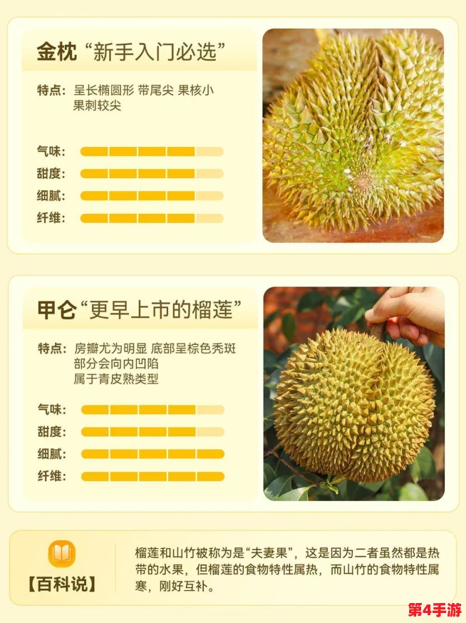 榴莲推广app网站入口,百花齐放争奇斗艳,尽显水果之王的魅力与风采 榴莲推广app网站入口,百花齐放争奇斗艳,尽显水果之王的魅力与风采