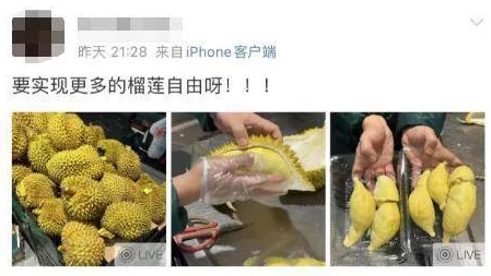 榴莲视频污:深入理解其背后的文化现象与社会影响分析 榴莲视频污:深入理解其背后的文化现象与社会影响分析