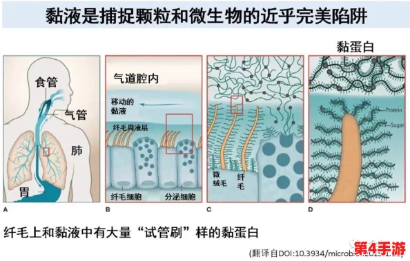 果冻传染煤片:科学家发现新型病毒可能通过食品传播,引发公众关注与讨论 果冻传染煤片:科学家发现新型病毒可能通过食品传播,引发公众关注与讨论