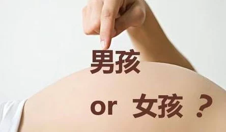 欧美性猛交：在多元文化中，尊重与理解是建立健康关系的基础，让爱与激情共存