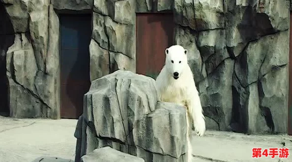 大白屁股videosHD:揭示动物世界中的独特美景和生态系统 大白屁股videosHD:揭示动物世界中的独特美景和生态系统