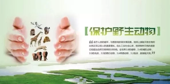 人与动物A级:探讨人类与动物之间的关系及其对生态环境的影响,呼吁保护野生动物的重要性 人与动物A级:探讨人类与动物之间的关系及其对生态环境的影响,呼吁保护野生动物的重要性