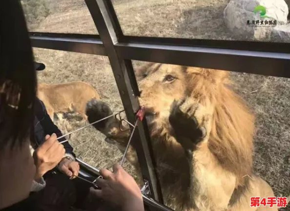 欧美人与牲禽动交com：畅享另类体验，感受人与动物之间的特殊连接与情感互动