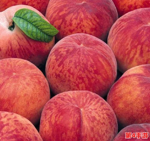 美丽的水蜜桃2最经典的一句:让我们一起品味这份甜蜜与温暖,感受生活的美好瞬间 美丽的水蜜桃2最经典的一句:让我们一起品味这份甜蜜与温暖,感受生活的美好瞬间