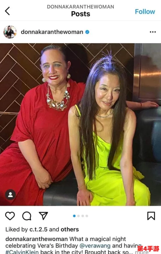 中国浓毛老太BBWW毛绒绒的，展现独特魅力与生活态度，引发网友热议与关注