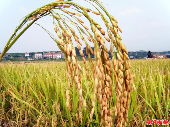 《我的世界》中高效种植土地的全面指南:从选地到丰收的实用技巧与策略 《我的世界》中高效种植土地的全面指南:从选地到丰收的实用技巧与策略
