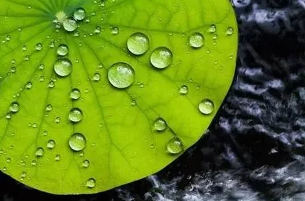 他的腰身缓慢的下沉,仿佛行云流水般优雅自如 他的腰身缓慢的下沉,仿佛行云流水般优雅自如