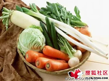 光腿拨萝卜:夏日清凉穿搭与美食的完美结合,享受生活的每一刻 光腿拨萝卜:夏日清凉穿搭与美食的完美结合,享受生活的每一刻