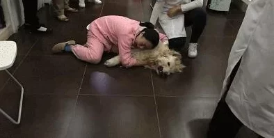 网调小狗的方法：如何通过科学的训练技巧和有效的沟通方式来改善小狗的行为习惯与社交能力