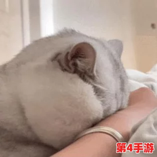 地下城与勇士》中,哪个宠物蛋最适合你的职业搭配与战斗风格? 地下城与勇士》中,哪个宠物蛋最适合你的职业搭配与战斗风格?