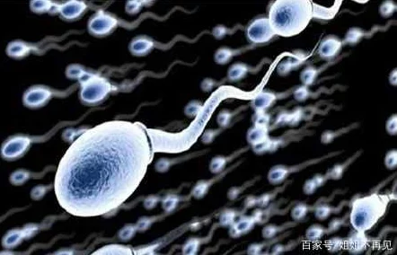 多人灌满精子怀孕高H：探讨现代生育方式与伦理的复杂交织，影响家庭结构与社会观念的深远变化