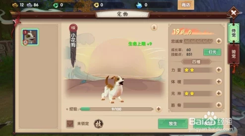 探秘寻仙手游:高效获取黯黑石策略与独家合成优化技巧指南 探秘寻仙手游:高效获取黯黑石策略与独家合成优化技巧指南