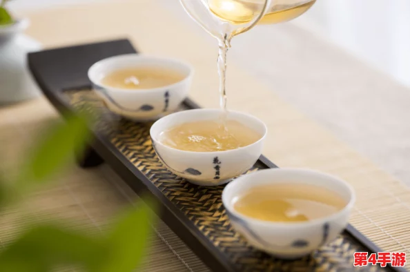 NANA_taipei茶艺Mba:一杯好茶,品味出宁静与和谐的完美体验 NANA_taipei茶艺Mba:一杯好茶,品味出宁静与和谐的完美体验