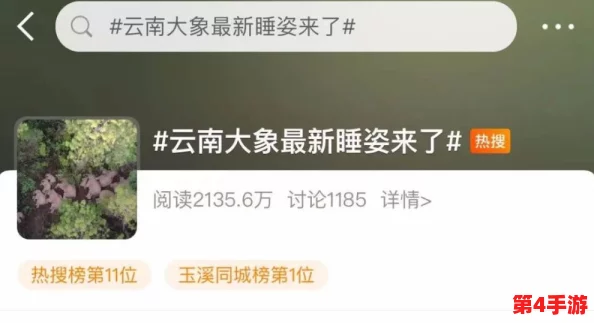 大象回家永久不迷路2024:用户称赞其使用简便,导航精准,值得信赖的好帮手! 大象回家永久不迷路2024:用户称赞其使用简便,导航精准,值得信赖的好帮手!