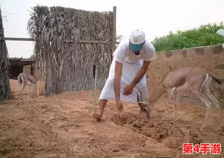 日本颜色程度10颗星的电视:某明星被曝光在节目中偷吃零食引发争议 日本颜色程度10颗星的电视:某明星被曝光在节目中偷吃零食引发争议