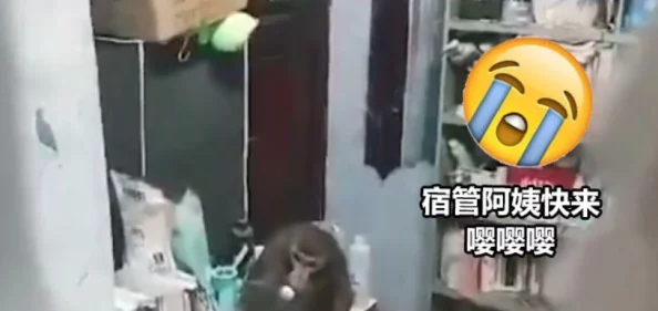 二个人在一起生猴子不盖被子，专家解析情侣间的亲密关系与生活习惯对情感的影响