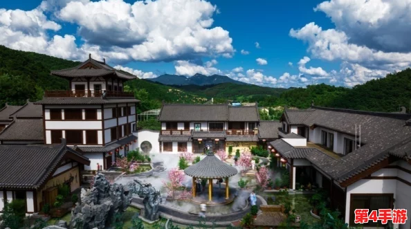 仙踪林company limited19岁大陆：在快速发展的市场中，如何保持品牌的独特性与竞争力？