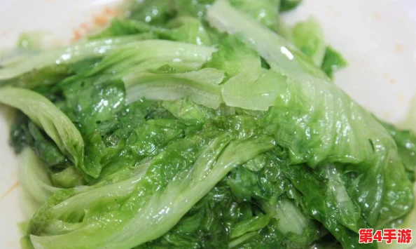 掌握蚝油生菜精髓，从精选生菜开始的美味契约烹饪秘籍