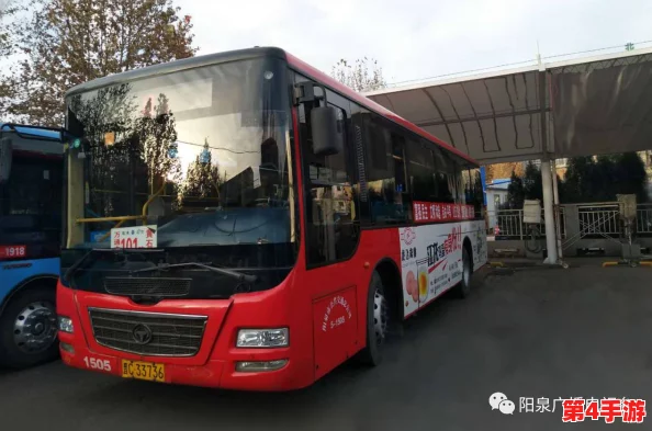 公交车坐最后一排c，乘客体验与司机互动的独特视角，让我们一起感受这段旅程中的点滴故事与温暖瞬间