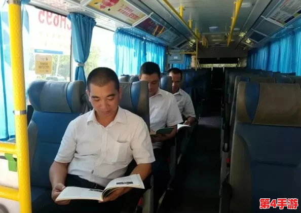 公交车坐最后一排c，乘客体验与司机互动的独特视角，让我们一起感受这段旅程中的点滴故事与温暖瞬间