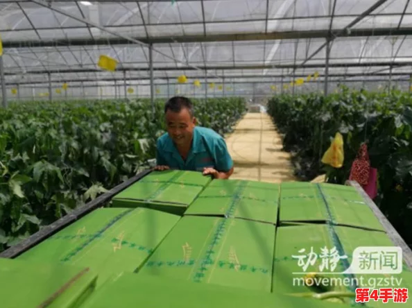 草莓丝瓜深夜释放自己的歌词含义和作用，竟然暗藏歌手与神秘恋情的八卦消息，引发粉丝热议！