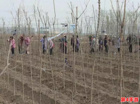 铜铜铜铜铜铜铜铜好大好深板没有病毒看点：解析铜材在现代工业中的重要性及其应用前景