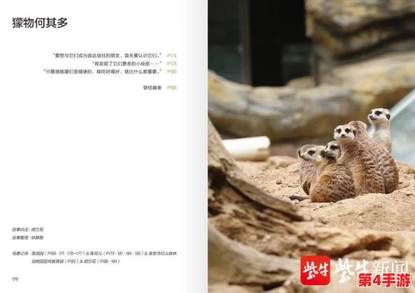 狂野西部新篇章：疯狂动物园迎来灵长类霸主，猩猩伙伴震撼登场共舞荒野奇趣！