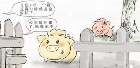 阿呆通话刚结婚的兰兰，网友纷纷表示祝福与担忧，认为爱情与现实之间的平衡至关重要
