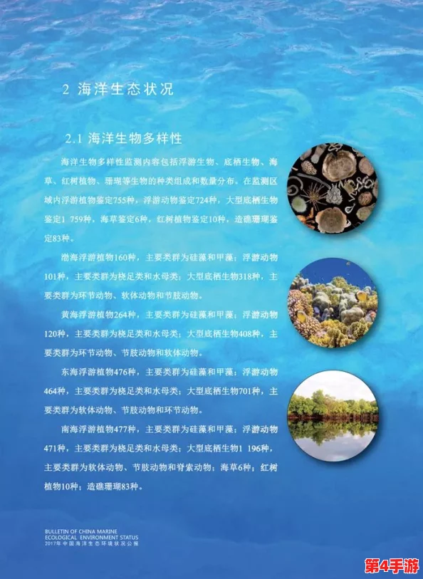 绿意盎然海角原创：探讨海洋生态保护的重要性与生物多样性的现状分析