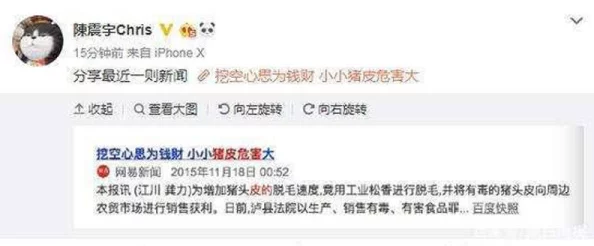 黑科网 今日黑料：最新进展揭示行业内幕与潜在风险，关注用户隐私安全问题引发广泛讨论