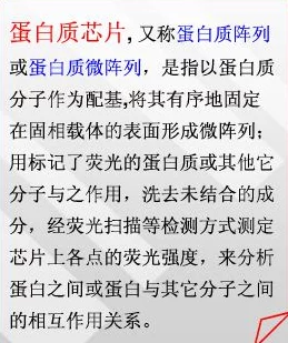 欧美大乱交：文化碰撞与社会变迁中的性观念演变及其对当代人际关系的影响分析