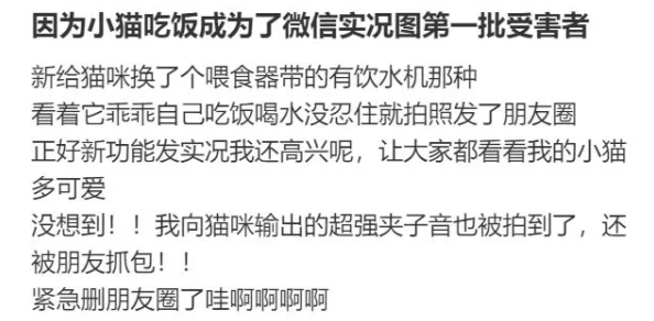 51cgfun吃瓜今日最火的一句:网友热议“这句话真是太真实了,简直道出了我的心声!” 51cgfun吃瓜今日最火的一句:网友热议“这句话真是太真实了,简直道出了我的心声!”