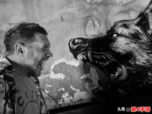 2024汤姆视频的最新网名，网友纷纷表示“这个名字真有创意，让人期待他的下一步！”