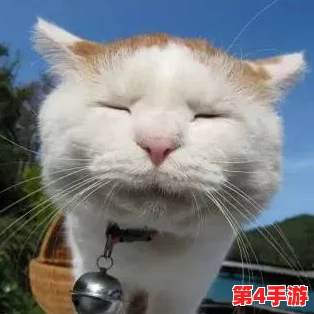 色色猫TV:网友热议其内容创意与表现形式,认为其独特风格吸引了大量年轻观众的关注和喜爱 色色猫TV:网友热议其内容创意与表现形式,认为其独特风格吸引了大量年轻观众的关注和喜爱