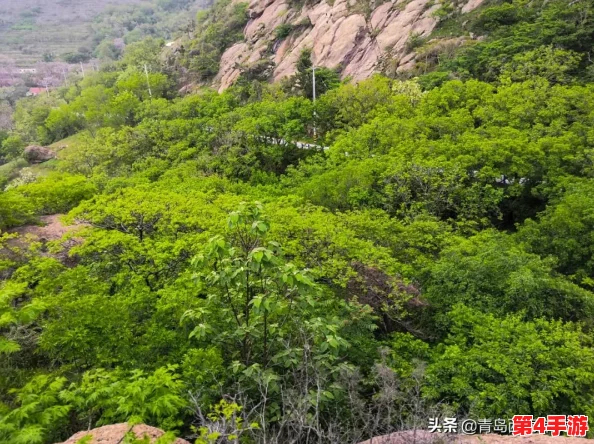 深度挖掘口袋妖怪与精灵图鉴：创新研究法解锁生物多样性奥秘