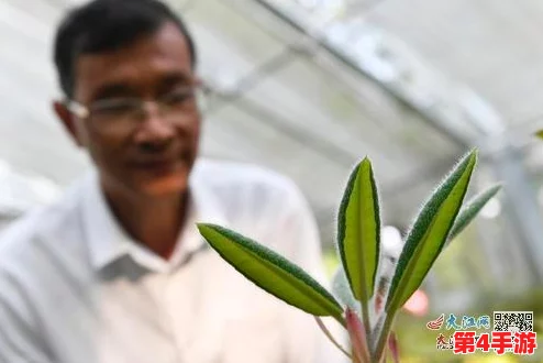 生物老师拿自己做繁育实验,成功培育出多种新型植物,引发学生们的热烈讨论与关注 生物老师拿自己做繁育实验,成功培育出多种新型植物,引发学生们的热烈讨论与关注