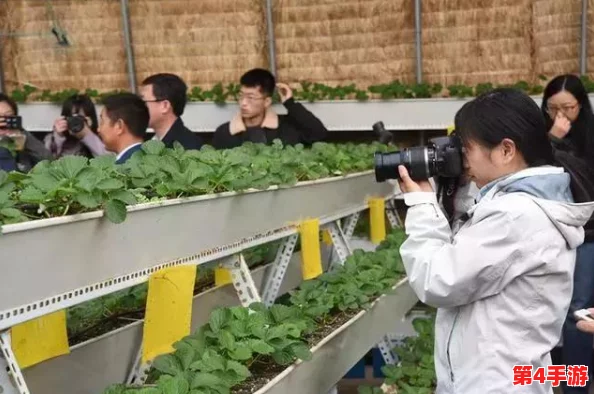 一二三区精密加工：提升制造效率与产品质量的关键技术与应用场景详解