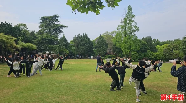 双人拔萝卜：探讨团队合作与互动对提升效率的影响及其在农业中的应用