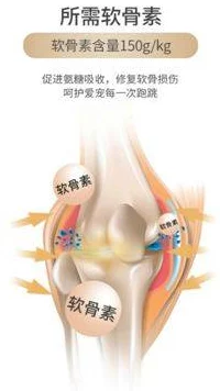 柚子猫糖心lvog免费完整版：这是一款备受欢迎的游戏，玩家可以在其中体验到丰富的剧情和多样化的玩法