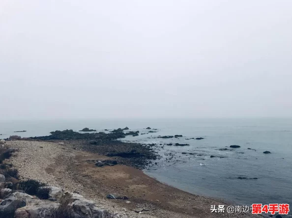 海角.comhj3dchj：网友热议这一新兴平台的潜力与挑战，是否能成为下一个网络风潮？