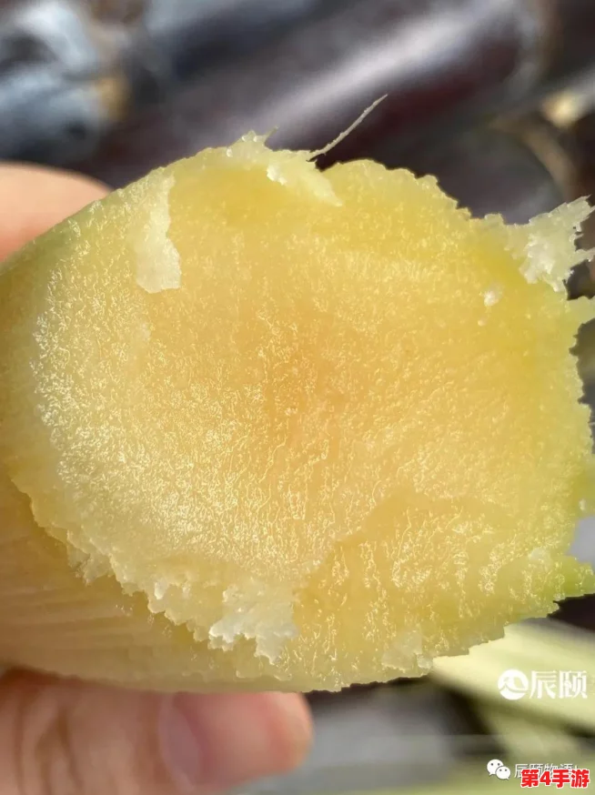 全面解析超进化物语：高效互换结晶策略与实战应用价值探索